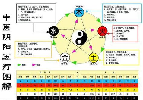 五行 水生木|水生木